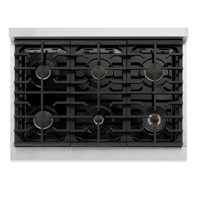 ZLINE 36 in. 6 Burner Gas Range with Convection Gas Oven in Stainless Steel and Accents