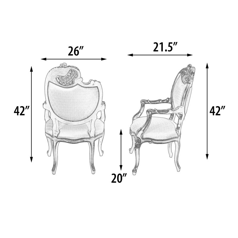 Paire de chaises d'appoint Platine