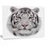 « white bengal tiger », peinture à l’animal-35120446-35120452