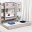 Thorwe Trundle Bed - Ash Grey (Trundle Only)