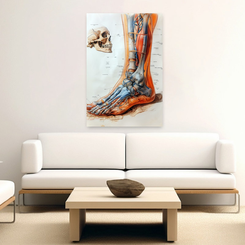 «Anatomical Leg and Skull», art mural rétro, H 60 po x l 40 po