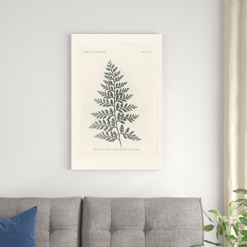 Gravure de fougère par Wild Apple Portfolio - peinture sur toile tendue, H 36 po x l 24 po