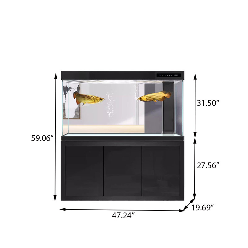 Grand aquarium 47,24 po