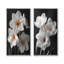 Ensemble de 2 jonquilles botaniques blanches, jaunes et jaunes-1283914833-1283914834-1283914840