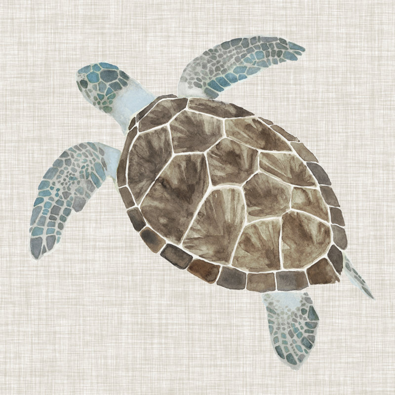 Sea Turtle II by Naomi McCavitt - Wrapped Canvas Painting, 30cm H x 30cm W x 3.8cm D