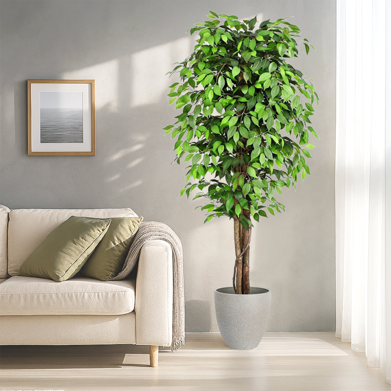 Pots à plantes ronds artificiels avec plateau en ficus artificiel et résine, Gris, H 19,69 po x l 59,06 po x P 19,69 po