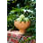 Gathered Garden Ceramic Statue Planter-50088937-50088935