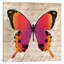« papillons iii », reproduction d’impression sur toile tendue-20832807-73084096-73084101
