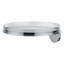 Kartell Decorative Tray
