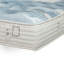 Paramount Sleep Isadore Plush-588227708