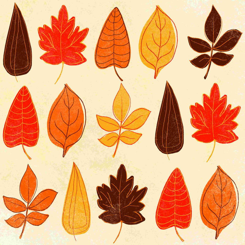 Funky Leaves - impression sur toile tendue, L 12 po x H 12 po