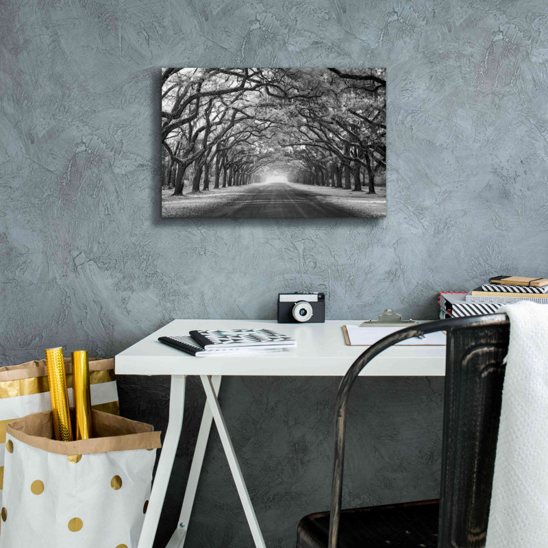 «Wormsloe Inf Light» par Mike Jones, estampe numérique sur toile, H 12 po x l 18 po x P 0,75 po
