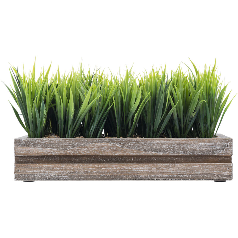 Jerrold 14 cm Artificial Grass in Planter