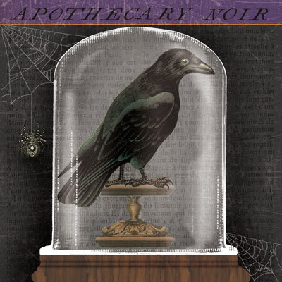 Apothecary Noir I - Wrapped Canvas Print