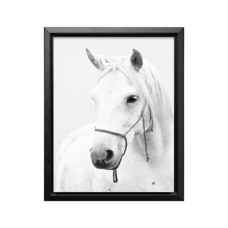 Portrait de cheval blanc, 12"H x 16"W, Canvas, Black Framed