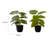 Mcclellan 12.5'' Faux Epipremnum Plant in Cement,Metal,Polyethylene Pot