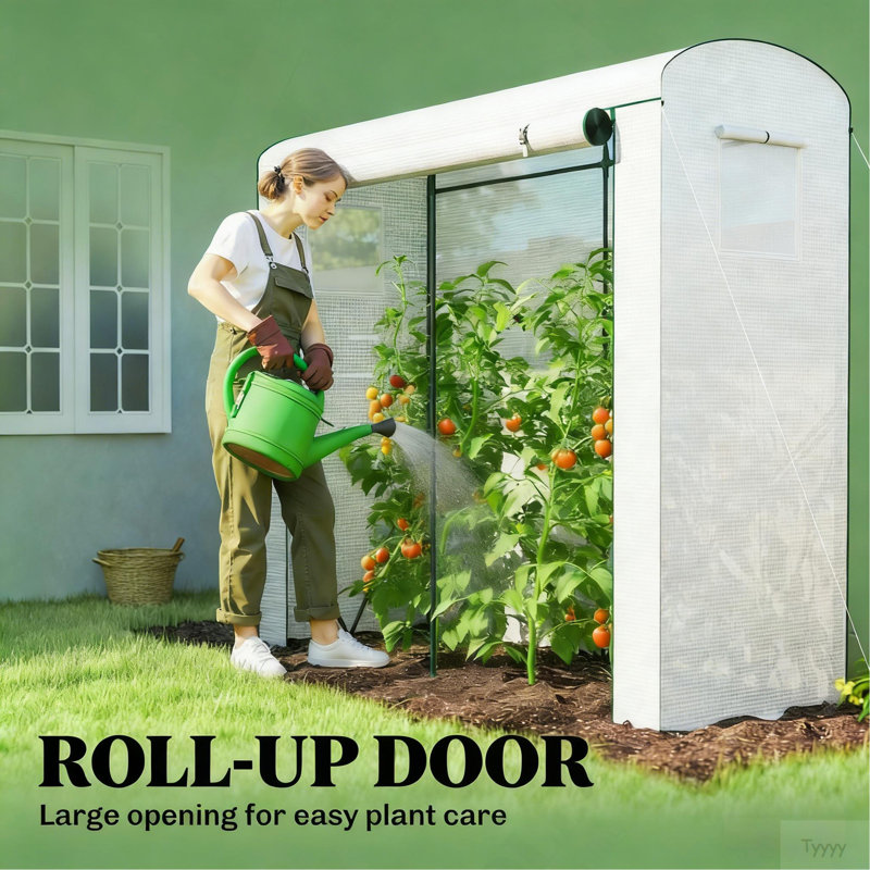 Mini serre extérieure, serre moderne