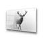 Boze Print on Glass