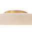 Glass Semi Flush Mount-33701624