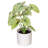 11.5'' Faux Plant in Pot-94734882