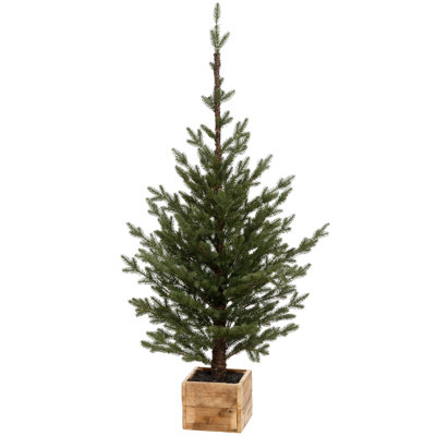 Pinetree In Box, Medium - 55 Inches