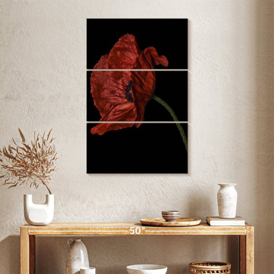 Harnek Curious Collections Poppy Red I