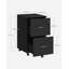 43cm Wide 2 -Drawer File Cabinet