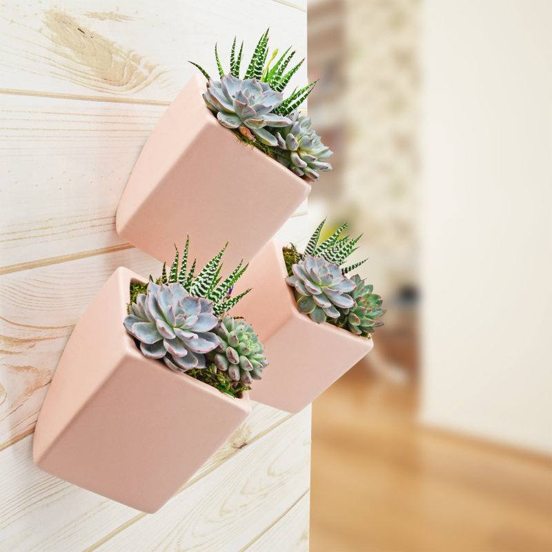 Pot de fleurs mural cube Eakin, corail