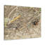 No Frame Print on Canvas-306366783