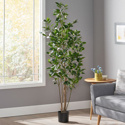 180CM ARTIFICIAL LAUREL TREE