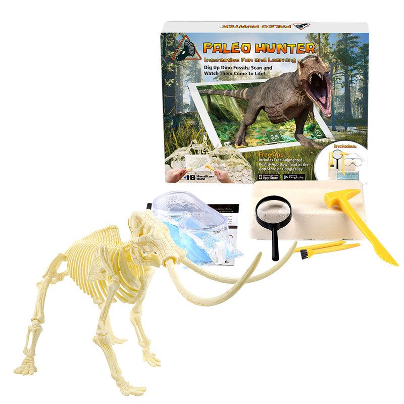 Mammoth Rex Paleontology Dig Kit with Tools for STEAM Education