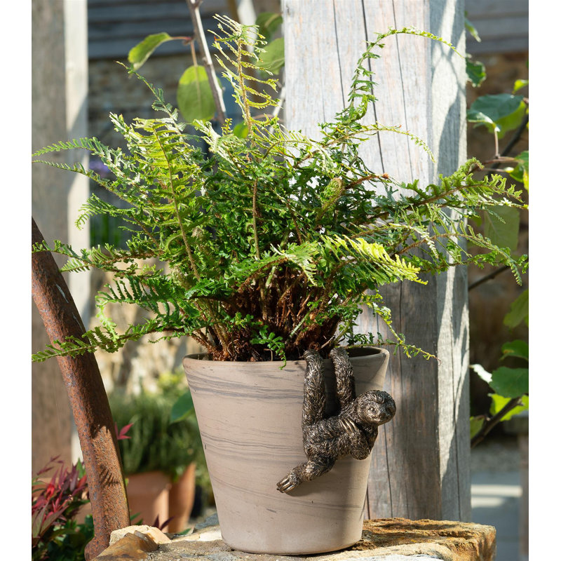 Gerow Three Toed Sloth Pot Hanger Ornament