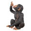 Statue de singe Anisetta