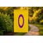 Drapeau Intersex Pride - drapeau extérieur-2034685408