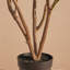 Rosier artificiel en pot Adcock Premium-54968081-54968087