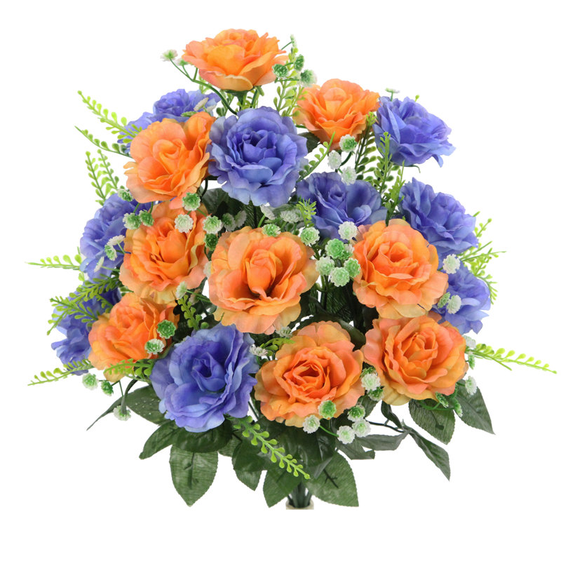 18 fleurs roses en pleine floraison, Pêche / bleu