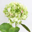 Real Touch Hydrangea Faux Floral-2066171874-2066171878