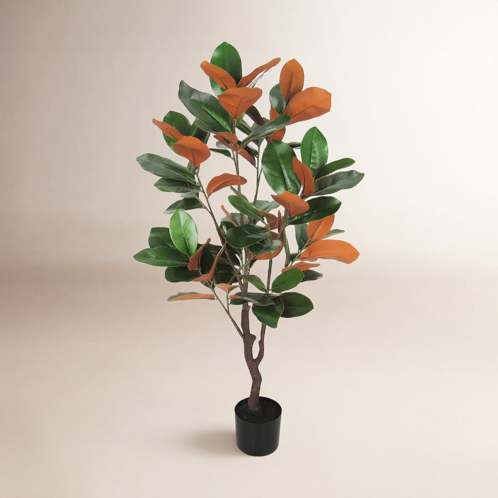 Faux Magnolia Plant in Pot, 48" H x 25" W x 25" D