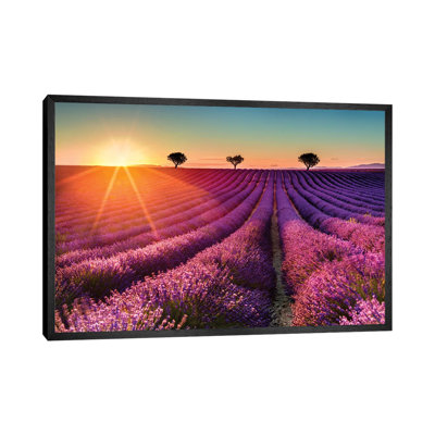 Plateau De Valensole Lavender Field Sunset II by Susanne Kremer - Gallery-Wrapped Canvas Giclée on Canvas