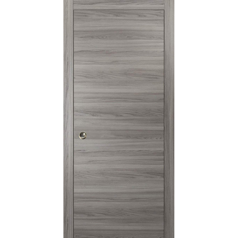 Porte de placard coulissante en bois Planum, 30 po x 80 po, Gris