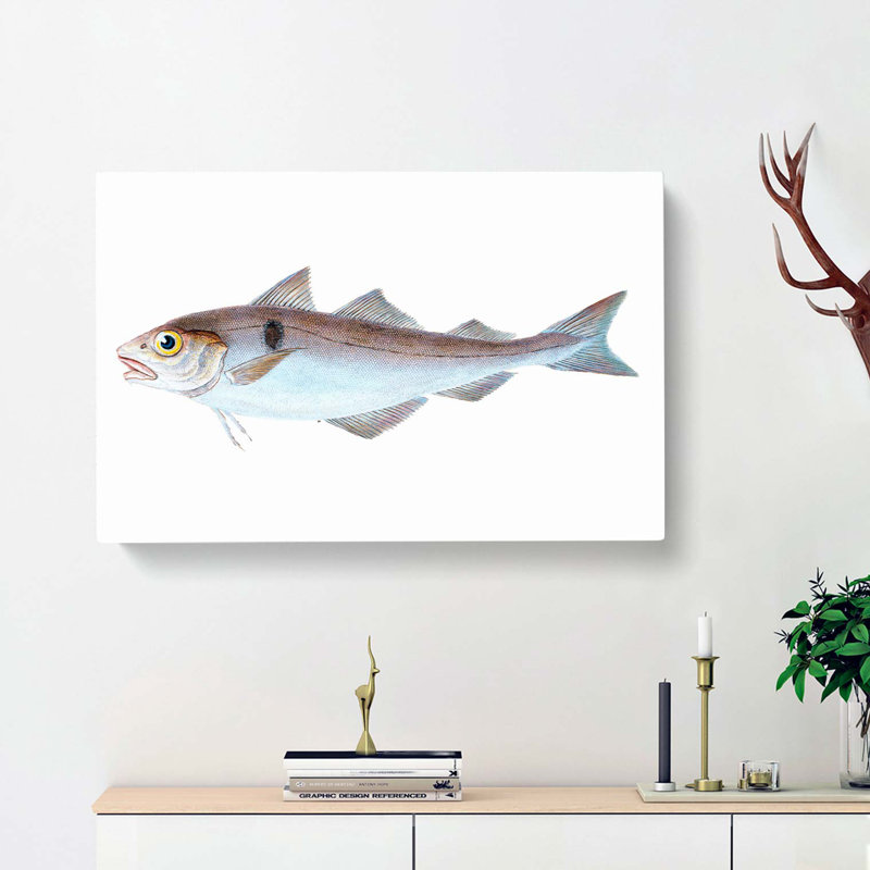 Haddock Fish by Edward Donovan - Wrapped Canvas, 40cm H x 60cm W x 3cm D