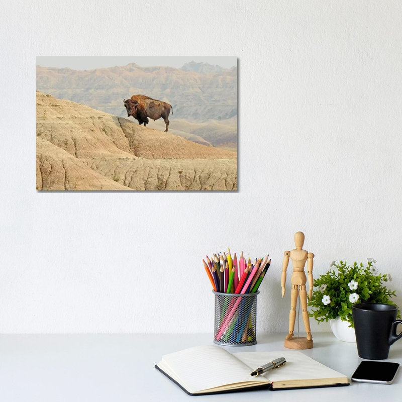 On The Ledge by Brian Wolf - Wrapped Canvas Print, 20.32cm H x 30.48cm W x 1.91cm D