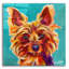 «Red Barrel Studio» «Yorkiepoo» par Dawg Painter, art mural acrylique-1123324175