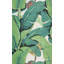 HINSON PALM GRASSCLOTH TRIMMED