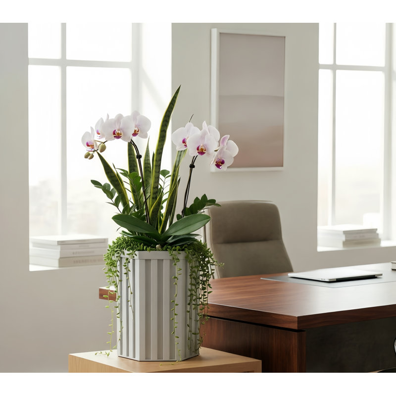 16 po Pot à fleurs H, Blanc, H 16,25 po x l 9,13 po x P 10,5 po