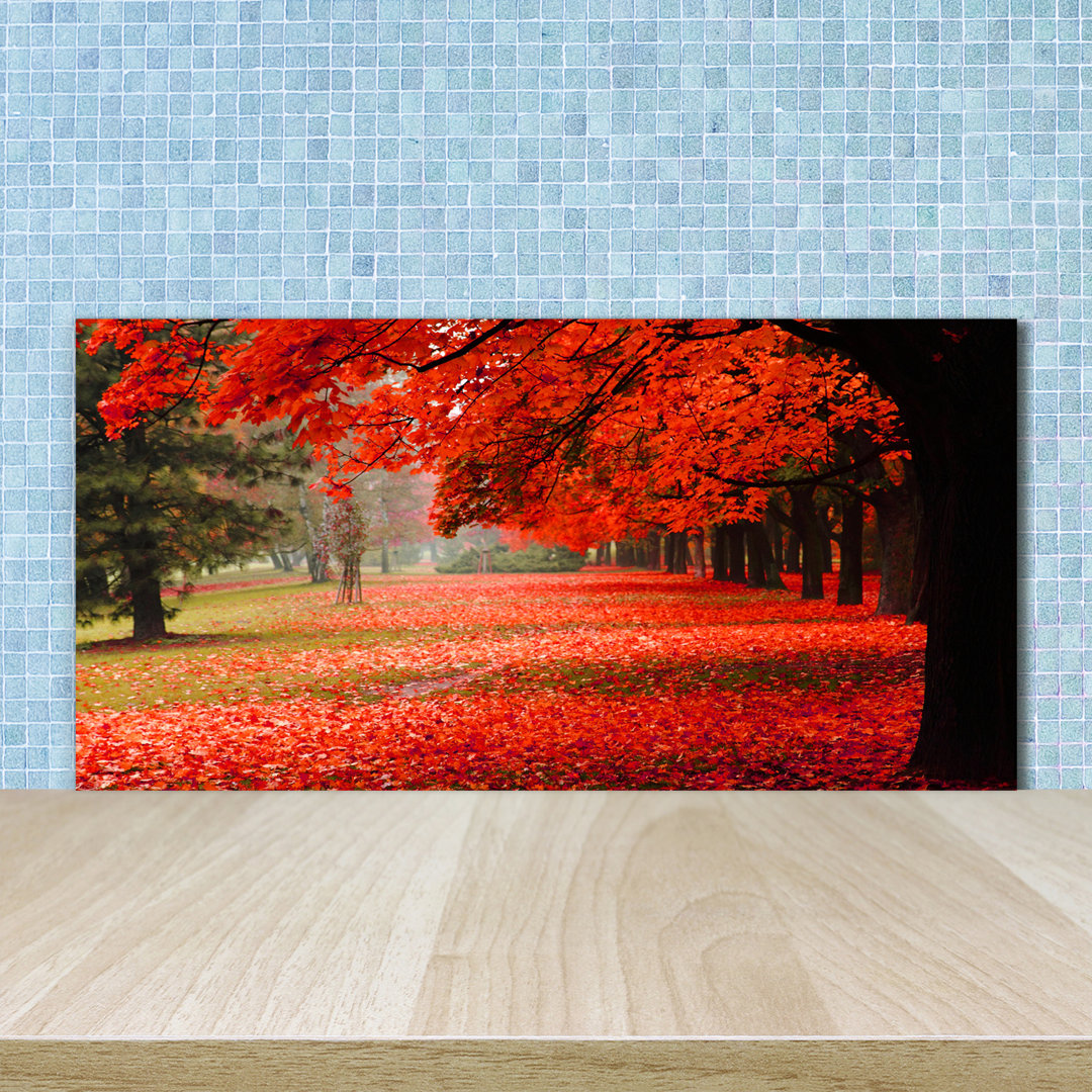 50 cm x 100 cm Glas Spritzschutzpaneel Bäume im Herbst