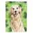 Golden retriever brun sélectionné