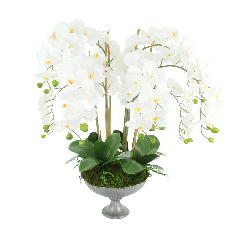 Orchid Arrangement in Metal Pedestal Vase