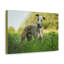Wall Art on Canvas