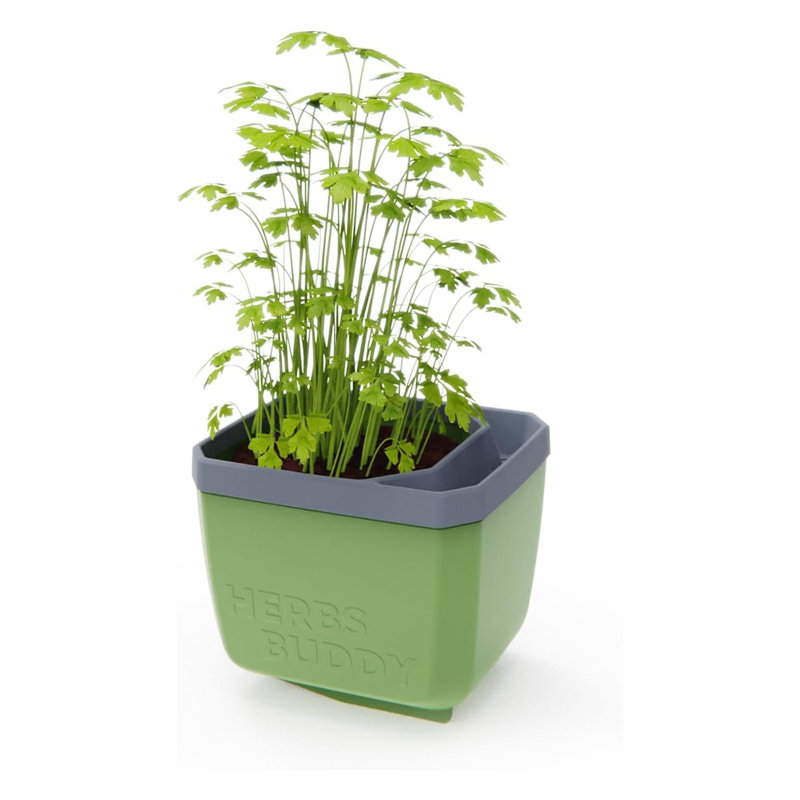 Herbs Buddy Self-Watering Planter Pot for Herbs, Special Water Level Indicator, Green, 1